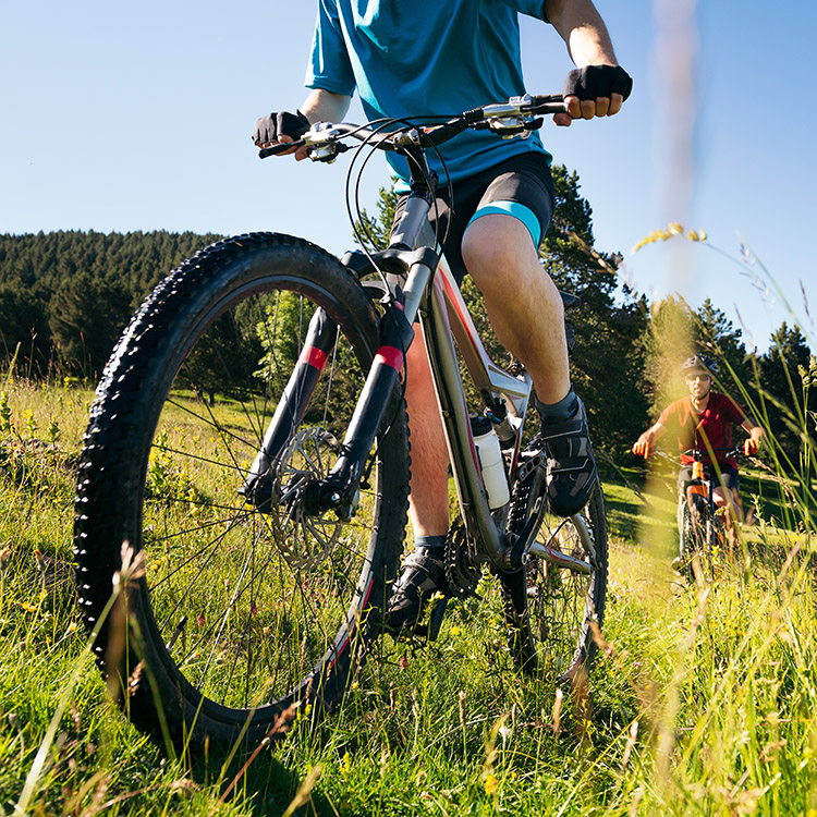 Zwei Mountainbiker fahren durch eine grüne Wiese im Waldgebiet bei Sonnenschein – sportliche Outdoor-Abenteuer mit Diermann - Bergsieger GmbH
